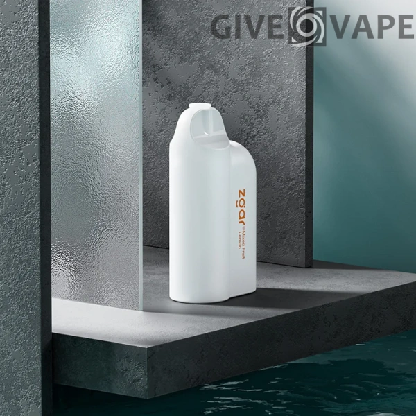 ZGAR FOGGY BOX 7000 Puffs 2% wiederaufladbarer Nikotin-Einweg-Vape-Großhandel – GiveVape – 1