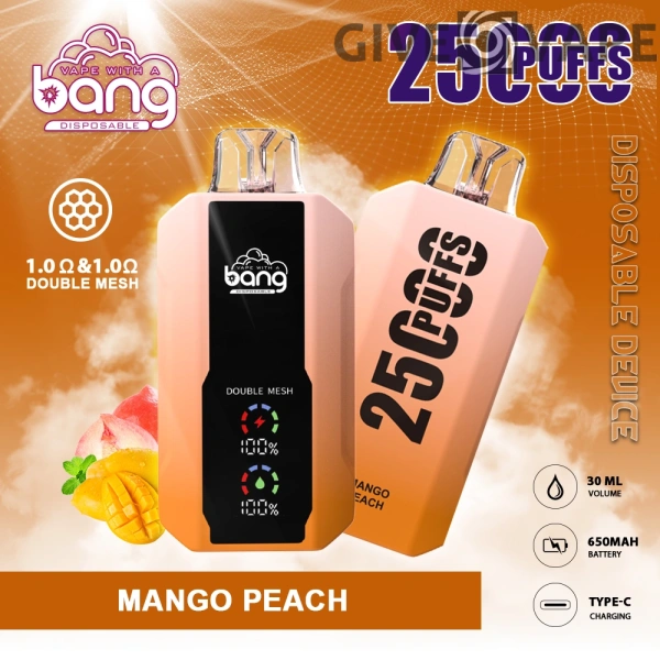 Bang 25000 Puffs 0% 2% 3% 5% Low Nicotine Rechargeable Disposable Vapes Pen Bulk Buy Wholesale - GiveVape - 2