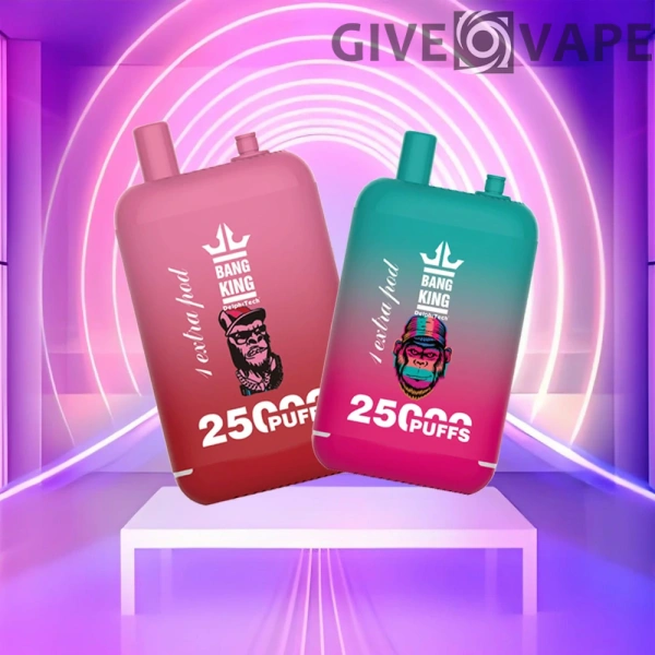 Bang King 25000 Puffs Dual Pods 0% 2% 3% 5% Low Nicotine Rechargeable Disposable Vapes Pen Bulk Buy Wholesale - GiveVape - 1