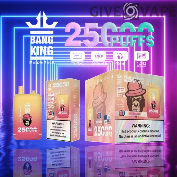 Bang King 25000 Puffs Dual Pods 0% 2% 3% 5% Low Nicotine Rechargeable Disposable Vapes Pen Bulk Buy Wholesale - GiveVape - 7