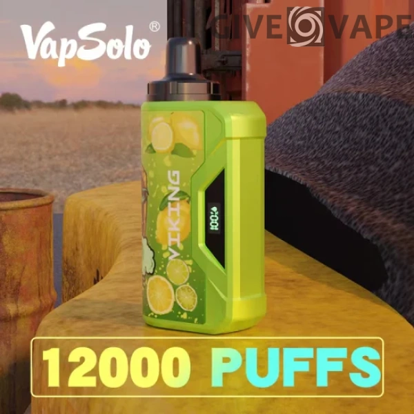 VapSolo Viking 12000 Puffs 2% 5% Low Nicotine Rechargeable Disposable Vapes Pen Bulk Buy Wholesale - GiveVape - 1