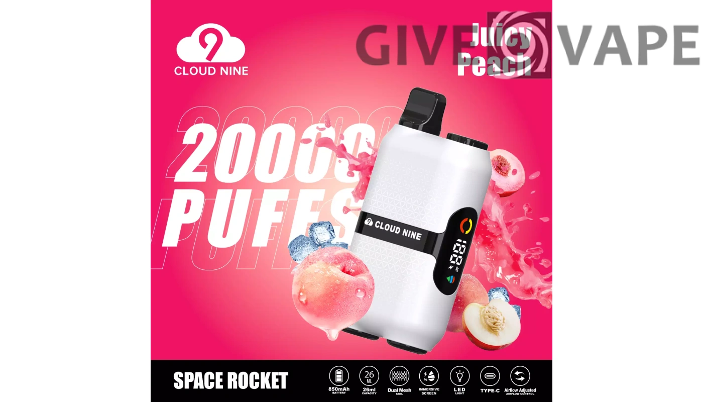 Elevate Your Vaping Experience with Cloud Nine D33: A Comprehensive Guide to the 20,000 Puff Rechargeable Disposable Vape - GiveVape - 1