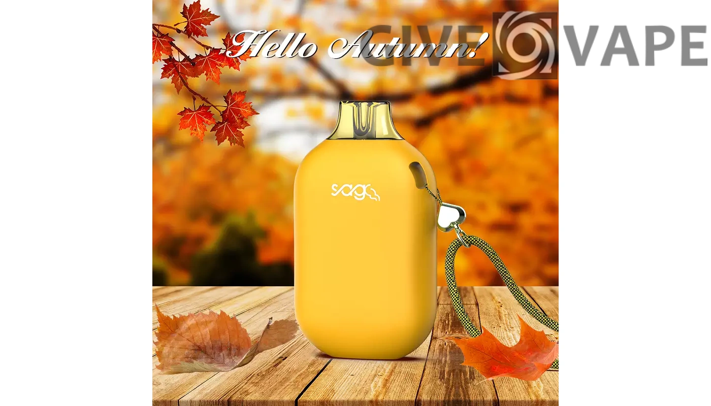 The Benefits of Choosing Grativape Boom 9000 Puffs: A Wholesale Guide to Low Nicotine Rechargeable Disposable Vapes - GiveVape - 8