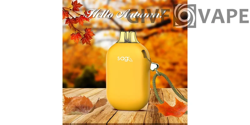 The Benefits of Choosing Grativape Boom 9000 Puffs: A Wholesale Guide to Low Nicotine Rechargeable Disposable Vapes - GiveVape - 8